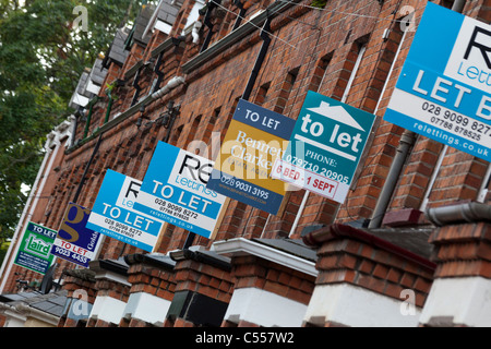 Anzeichen für Immobilien zu vermieten in der Nähe von Queens University Belfast, Nordirland, Vereinigtes Königreich Stockfoto