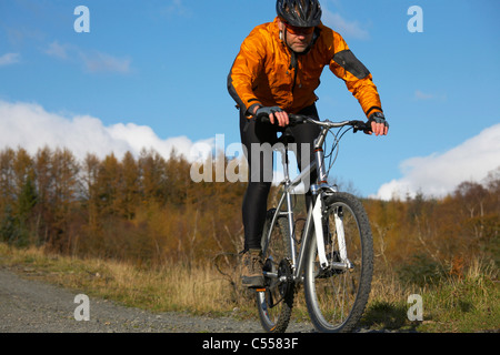 Sportler, die Rennen mit dem Mountainbike auf einem Wald Weg, Nationalpark Lake District, Cumbria, UK Stockfoto