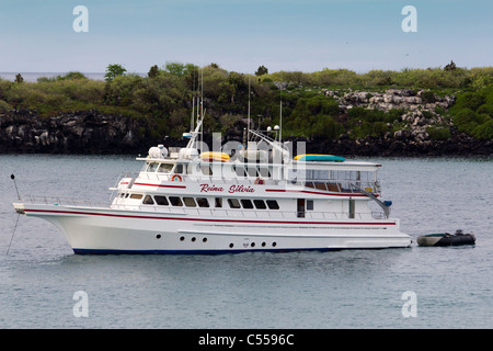 Luxus-Boote, Santa Cruz Island, Galapagos-Inseln, Ecuador Stockfoto