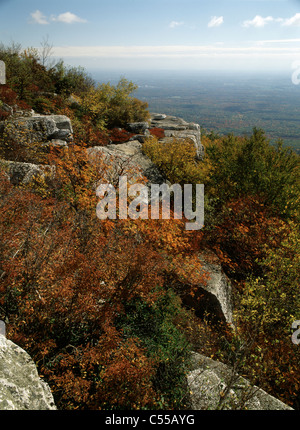 Pflanzen auf einem Berg, Minnewaska State Park zu erhalten, Schawangunk Berge, New York State, USA Stockfoto