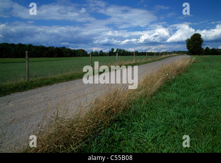 Feldweg durch Felder, Pennsylvania, USA Stockfoto