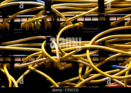 Cat 5e Netzwerkkabel eingesteckt in Patch-Panels Stockfoto