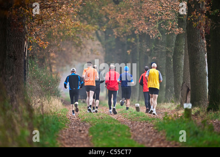 Die Niederlande, Winterswijk, Herbstfärbung, Bäume, Landstraße. Gruppe von Männern, die Joggen. Stockfoto