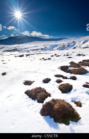 Schottland, Perthshire, Glenshee. Winterlandschaft mit Blick auf die schneebedeckten Hänge des Glenshee Skigebiet und Skilifte. Stockfoto