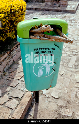 Frosch plastik recycling