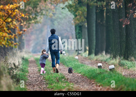 Die Niederlande, Winterswijk, Herbstfärbung, Bäume, Landstraße. Mann, Tochter und Hund spazieren. Stockfoto