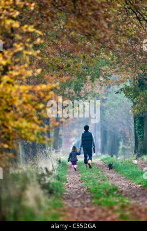 Die Niederlande, Winterswijk, Herbstfärbung, Bäume, Landstraße. Mann, Tochter und Hund spazieren. Stockfoto