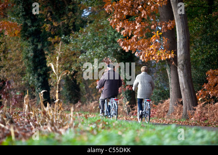 Die Niederlande, Winterswijk, Herbstfärbung, Bäume, Landstraße. Älteres paar Radfahren. Stockfoto