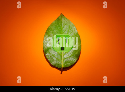 Grüne Pflanze Blatt mit einer Steckdose auf einem orangefarbenen Hintergrund Stockfoto