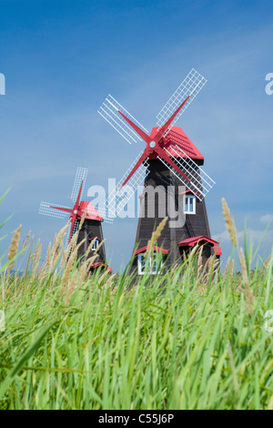 Windmühlen im Feld Stockfoto
