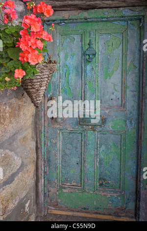 Alte bemalte hölzerne Eingangstür, The Digey, St. Ives, Cornwall, England Stockfoto