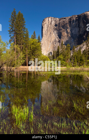 Yosemite-Nationalpark El Capitan mit dem Merced River fließt durch das Yosemite Valley Yosemite Nationalpark Kalifornien Stockfoto