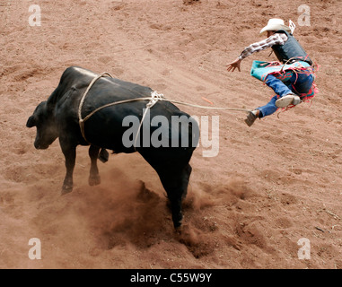 Wettbewerber in das Bullenreiten bei der jährlichen indischer Rodeo statt in Mescalero, New Mexico. Stockfoto