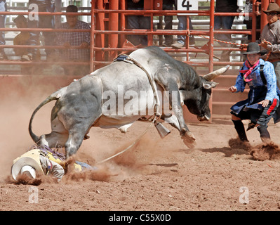 Konkurrent auf dem Boden nach einem harten Sturz während der Bullenreiten Ereignis beim jährlichen indischer Rodeo statt in Mescalero, New Mexico Stockfoto