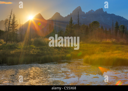 USA, Wyoming, Rocky Mountains, Grand-Teton-Nationalpark, Schwabacher landing, Beaver Pond bei Sonnenuntergang Stockfoto