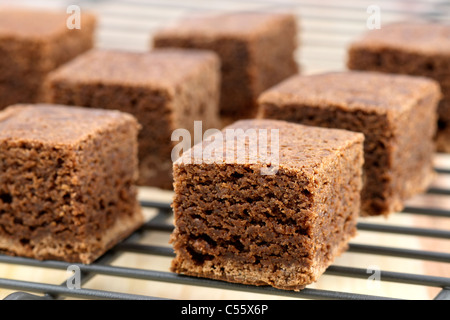 frische herrlich feucht Brownies mit einem tief fudgy Schokoladenaroma Stockfoto