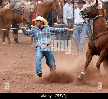 Wettbewerber in das Kalb roping Ereignis beim jährlichen indischer Rodeo statt in Mescalero, New Mexico. Stockfoto