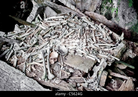 Hölzernen Sarg mit Knochen in Tana Toraja Friedhof, Sulawesi gebrochen Stockfoto