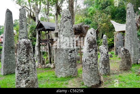 Inländische Familiengräbern Grab in Indonesien Tana Toraja, Sulawesi Stockfoto