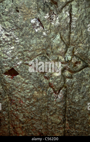 Schnitzereien an der Wand des Wat Maha That, Phra Nakhon Si Ayutthaya, Thailand. Stockfoto