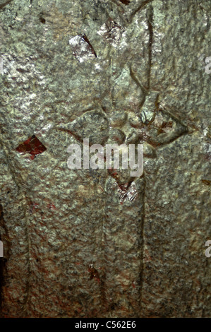 Schnitzereien an der Wand des Wat Maha That, Phra Nakhon Si Ayutthaya, Thailand. Stockfoto