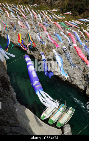 Japanische Karpfen Drachen, Dekoration am Tag des Kindes Stockfoto