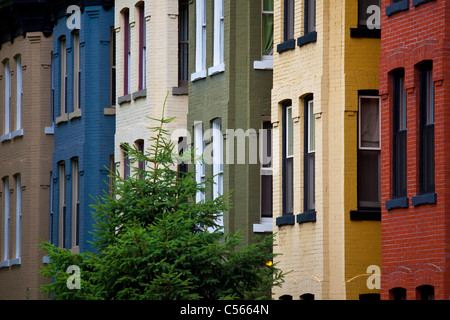 Reihenhäuser in Washington, D.C. Stockfoto