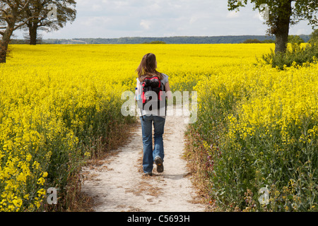 Frau zu Fuß einen Weg durch einen großen gelben Raps Ernte in Hampshire, England Stockfoto