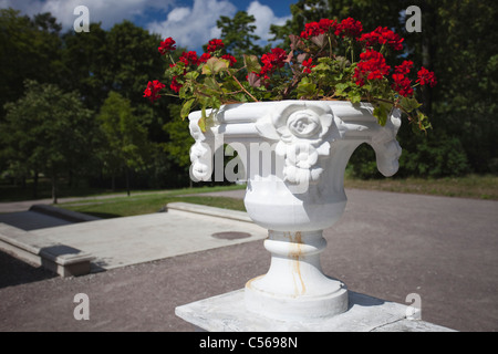 Dekorative Vase im Garten von Kadriorg-Palast in Tallinn, Estland Stockfoto