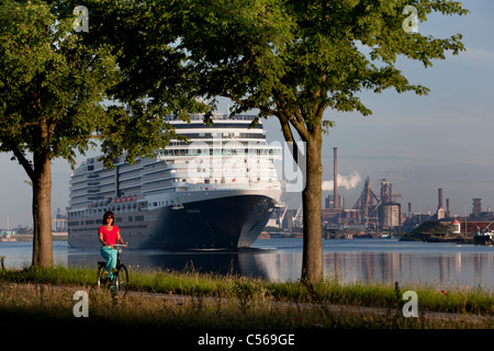 Niederlande, IJmuiden, Eurodam Kreuzfahrtschiff, Holland America Line in Nordseekanal angehören. Stockfoto