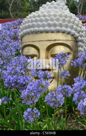 Große Statue eines goldenen Kopf, umgeben von blühenden blauen Agapanthus, Buddha Eden oder Garten des Friedens, Bombarral Portugal. Stockfoto