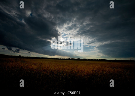 Ein dramatischer Himmel über einem Feld im Dorf Ringmer, bei Lewes, East Sussex. Stockfoto