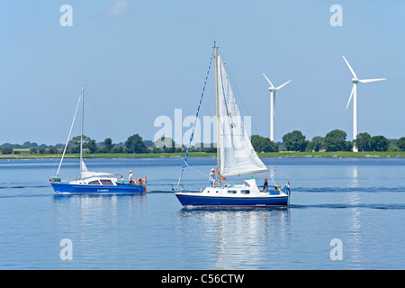 Segelboote, Burger Binnensee, Insel Fehmarn, Schleswig-Holstein, Deutschland Stockfoto