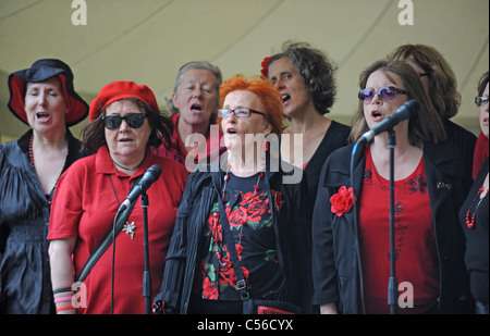 Damen Acapella Chor erklingt in der Patchfest Community-Festival-Event in Brighton UK Stockfoto