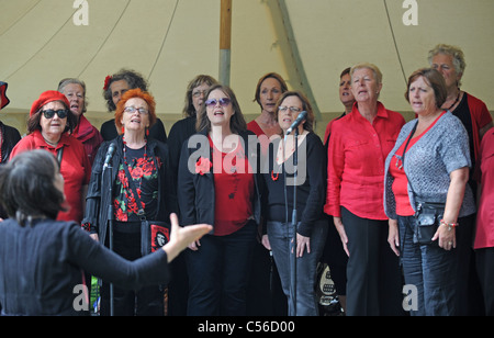 Damen Acapella Chor erklingt in der Patchfest Community-Festival-Event in Brighton UK Stockfoto