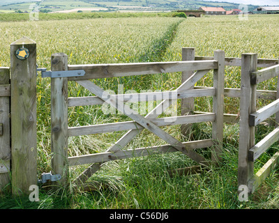 Ein Tor auf einem schmalen Fußweg durch ein Feld von Weizen Stockfoto