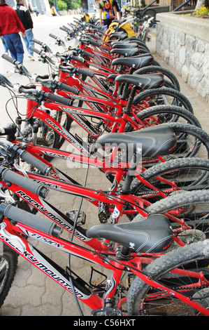 Mountain-Bikes zu mieten in Whistler, Kanada Stockfoto