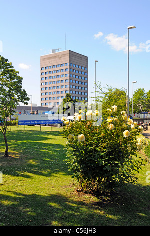 Blauer Himmel sonniger Sommertag im Basildon University Hospital Hochhaus und Grundstück mit Schild hinter gelben Blumen Essex England Großbritannien Stockfoto