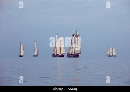 Die Niederlande, Enkhuizen. Jährliche Rennen der traditionelle Segelschiffe namens Klipperrace IJsselmeer am See genannt. Stockfoto