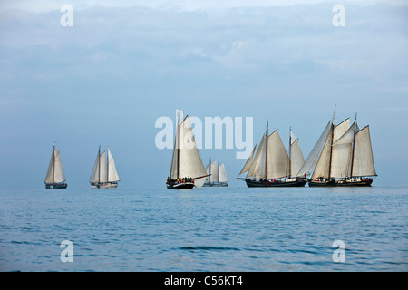 Die Niederlande, Enkhuizen. Jährliche Rennen der traditionelle Segelschiffe namens Klipperrace IJsselmeer am See genannt. Stockfoto