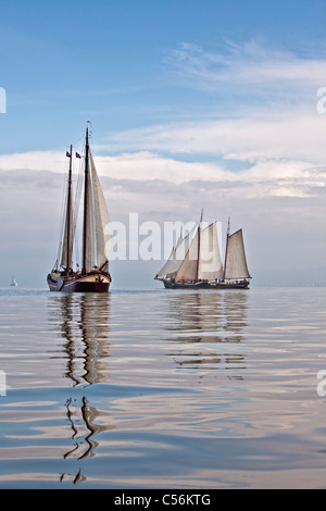 Die Niederlande, Enkhuizen. Jährliche Rennen der traditionelle Segelschiffe namens Klipperrace IJsselmeer am See genannt. Stockfoto