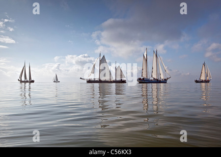 Die Niederlande, Enkhuizen. Jährliche Rennen der traditionelle Segelschiffe namens Klipperrace IJsselmeer am See genannt. Stockfoto