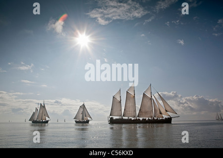 Die Niederlande, Enkhuizen. Jährliche Rennen der traditionelle Segelschiffe namens Klipperrace IJsselmeer am See genannt. Stockfoto