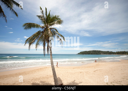 Touristen am Traumstrand in Mirissa, Sri Lanka Stockfoto