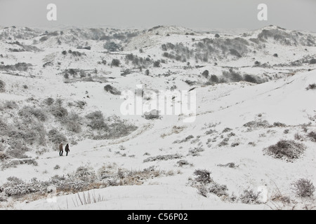 Den Niederlanden, Egmond Aan Zee, Egmond Wandern Marathon 2010, 42 km am Strand entlang und durch die Dünen. Stockfoto