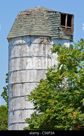 Alte rustikale Zement-Getreidesilo verwendet, um Store Essen auf dem Bauernhof Stockfoto