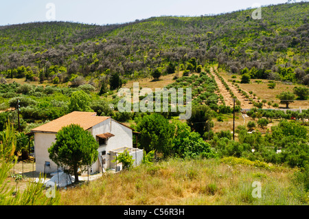 Haus mit Blick auf ein Bergtal und Olivenhainen auf der griechischen Insel Zakynthos Stockfoto