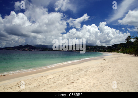 Grand Anse Strand in Grenada Stockfoto