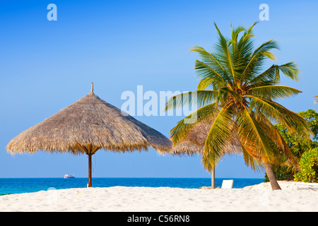 Sonnenschirm unter Palme. Stockfoto