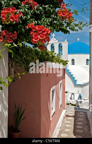 Eine typische Gasse in dem kleinen Fischerdorf von Apollon (Apollonas), Northern, Naxos, Kykladen, Griechenland Stockfoto